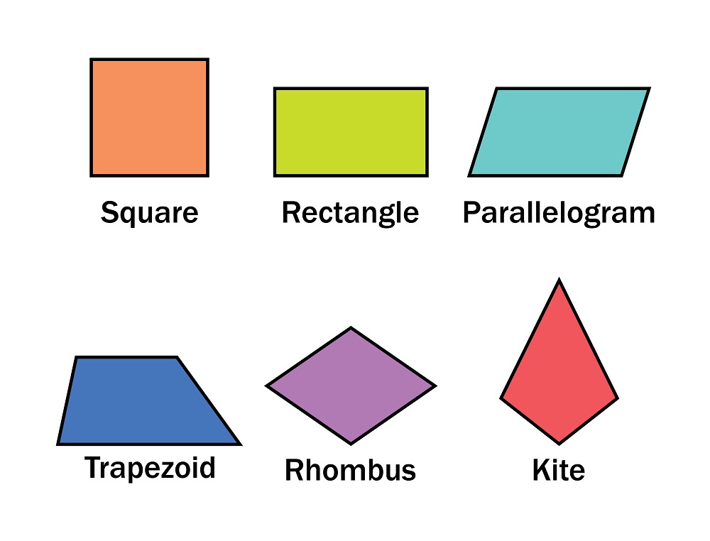 Perimeter and Area of Quadrilaterals image